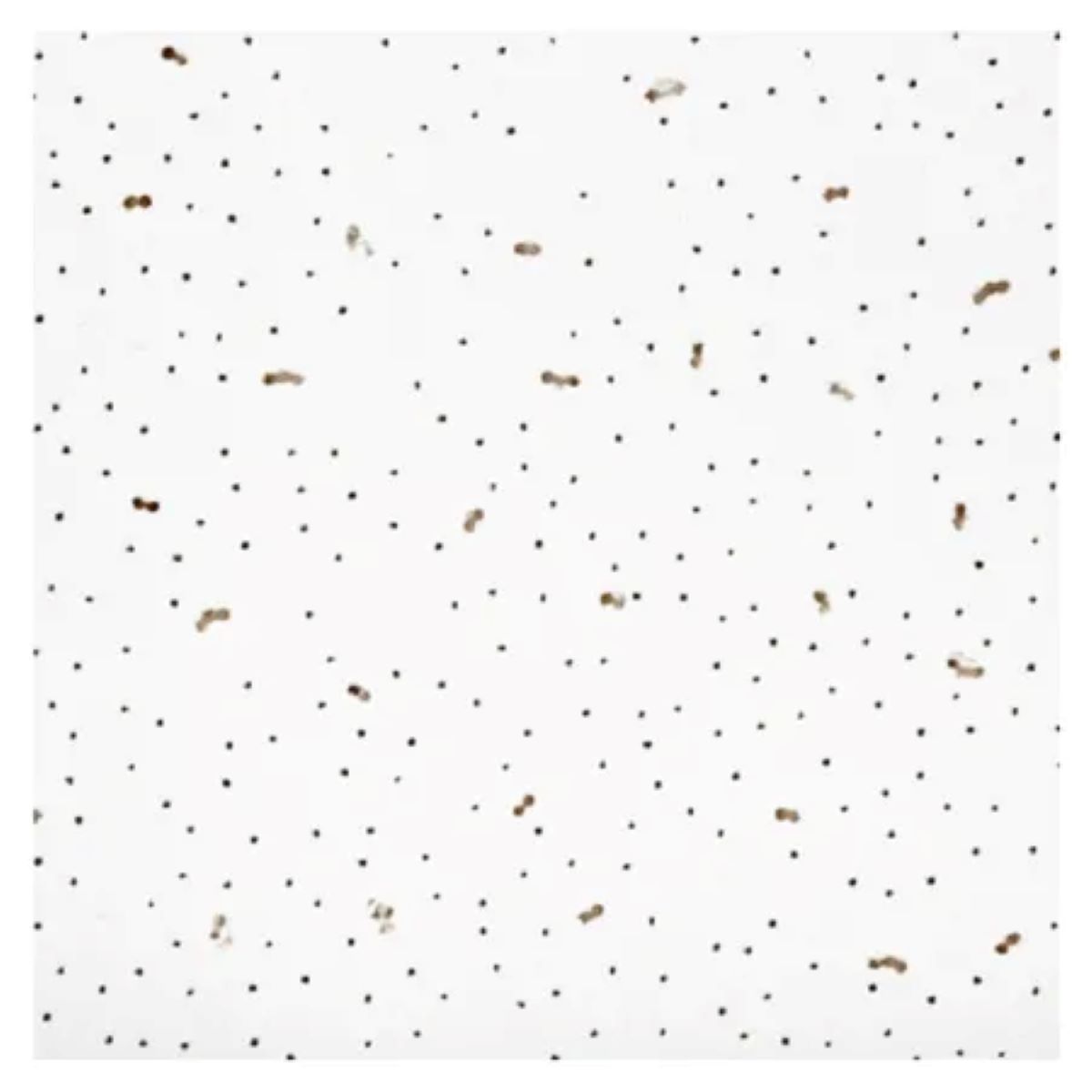 Плита потолочная АНГАРА 600х600х7мм (24шт/8,64м.кв.)